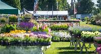 Blenheim Palace Flower Show