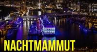 Nachtmammut Hamburg – 30 KM