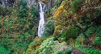 Une journée complète de promenade levada à Rabaçal au départ de Funchal