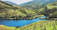 Visite-découverte des authentiques vins du Douro avec déjeuner