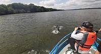 Delfinbeobachtung in Puerto El Morro von Guayaquil
