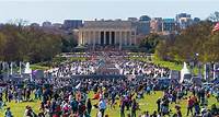 15 Must-See DC Events & Festivals | Washington DC