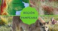 Región pampeana: características, flora y fauna
