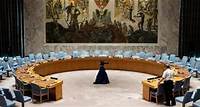 BM Güvenlik Konseyi'ne 5 yeni geçici üye eklendi