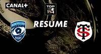 Le résumé de Montpellier / Toulouse - TOP 14 - 24ème journée