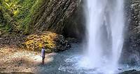 Half-Day Columbia River Gorge and Waterfall Hiking Tour