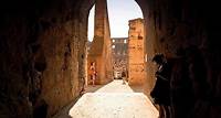 Visite guidée de l'arène du Colisée, du Forum romain et du mont Palatin