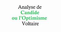 Analyse de Candide de Voltaire