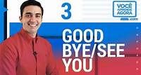 Good Bye/See you