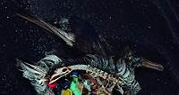 Combate ao Lixo no Mar