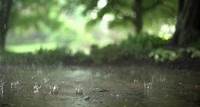 Raindrops-in-Super-Slow-Motion