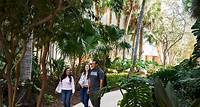 Full-Time MBA | Miami Herbert Business School | University of Miami
