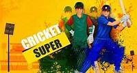 Super Cricket Game - Play Online Cricket Game Free