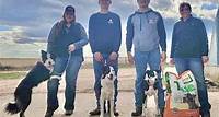 Stock Dog Pair Tops Novice Class