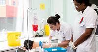Nursing Top Up Degree Course UK (BSc)