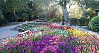 Descanso Gardens—Visit Pasadena | Visit Pasadena