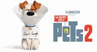 The Secret Life of Pets 2 (2019) [HD-TC]