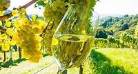 St Paul de Vence, Antibes e degustazione di vini da Cannes Vacanze di primavera