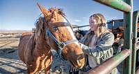 Love Where You Live This Is the Story of a Girl and a Wild Horse — and an Actual Christmas Miracle