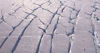Derretimento da “Geleira do Apocalipse“, na Antártida, preocupa cientistas | CNN Brasil