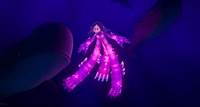 DreamWorks Animation's 'Ruby Gillman, Teenage Kraken' Trailer #2 | FirstShowing.net