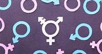 Großbritannien streicht Geschlechtsidentität aus dem Lehrplan Biologisches Geschlecht statt „fragwürdiger Ansichten“