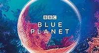 Blue Planet | BBC Earth