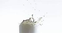Contagem bacteriana total (CBT): entendendo as análises | MilkPoint