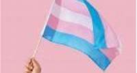 Transidentité : NON à la proposition de loi rétrograde du sénat ! OUI à l’autodétermination !
