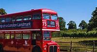 Visite en bus du vignoble et de la cave du Sussex à bord d'un bus londonien emblématique d'époque