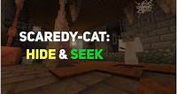 Scaredy-Cat: Hide & Seek
