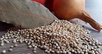 Quinoa kochen: So bereitest du das Inka-Getreide zu