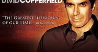 David Copperfield no MGM Grand Hotel and Casino R$ 529