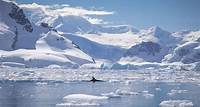 Classic Antarctica Air-Cruise | Antarctica Cruises
