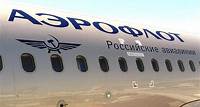 Transporterleichterung: Aeroflot behandelt Tiere bis fünfzehn Kilogramm wie Passagiere 16. April 2024