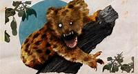 'Urso caído': a verdadeira história do predador mortal na Austrália | CNN Brasil