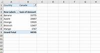 Pivot Tables in Excel