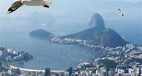 Rio De Janeiro, Mar, Oceano, Aves