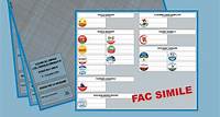 Elezioni comunali Reggio Emilia: guida al voto e fac simile della scheda