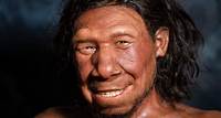 Neanderthals: Our extinct human relatives