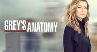Assistir | Grey's Anatomy | Star+