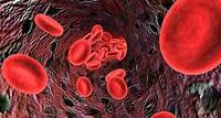 Quais são as causas da anemia