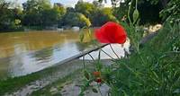 Weekend en Val-de-Marne : Grande aventure sur la Marne, Nuits des forêts, festival de l’histoire populaire, challenge olympique