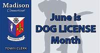 Madison Town Clerk june is dog license month