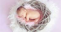 Free Baby Sleeping in a Basket and a Round Feather Surrounding the Basket Stock Photo