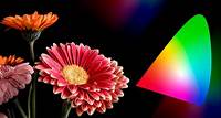 Espacios de color en Fotografía: sRGB, Adobe RGB y ProPhoto RGB