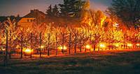 Landwirtschaft Darum entzündet ein Bauer aus Stendal Feuer in der Obstplantage