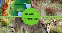 Región pampeana: características, flora y fauna