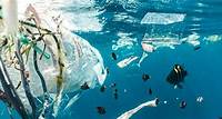 Relatório da ONU sobre poluição plástica alerta sobre falsas soluções e confirma necessidade de ação global urgente