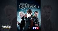 Les animaux fantastiques : les crimes de Grindelwald en streaming & replay sur TF1 - Molotov.tv